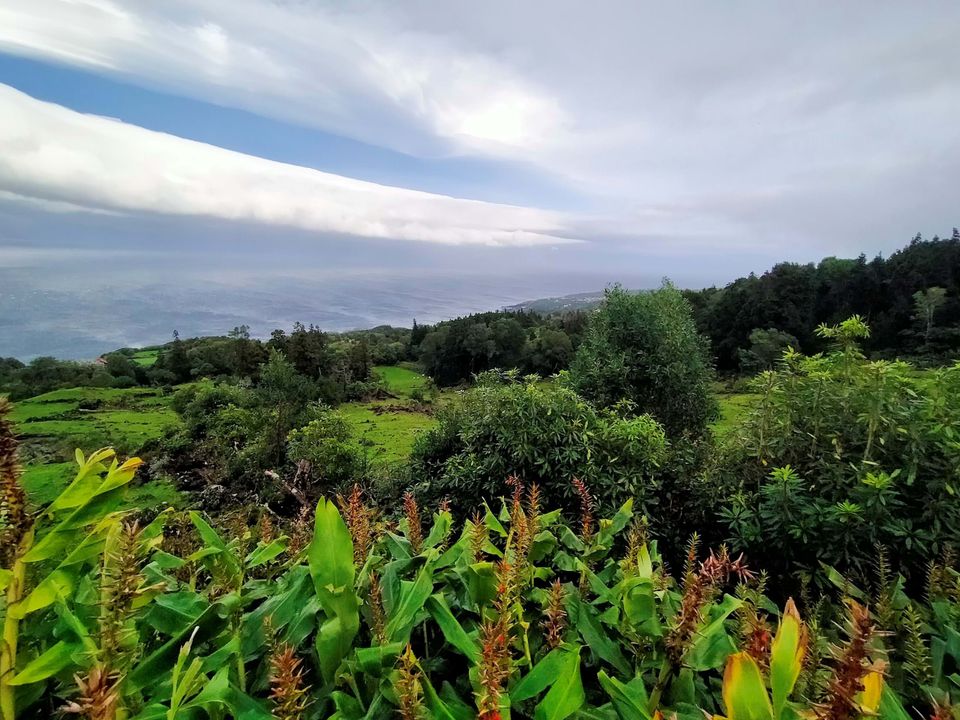 Helårsgrund i Lajes do Pico, Pico - foto 3