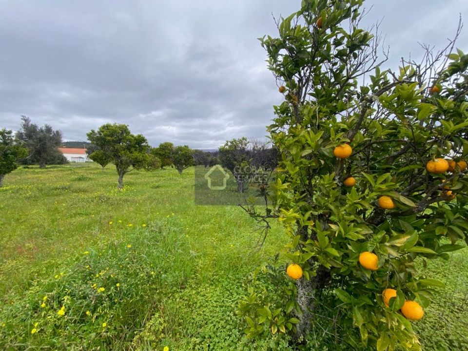 Helårsgrund i Bensafrim, Faro - foto 1