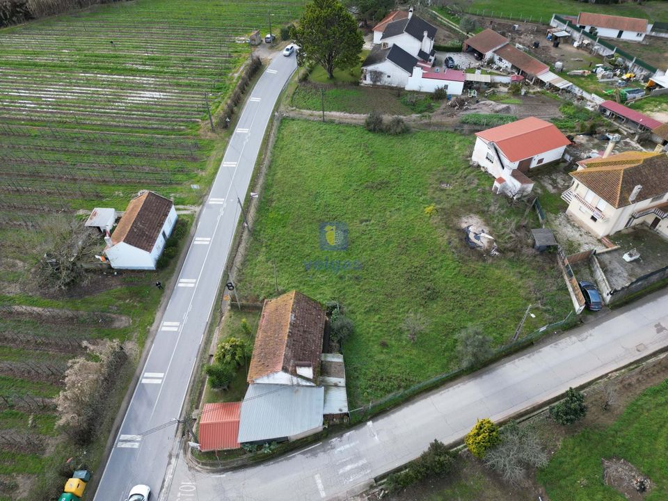Villa i Alcobaca, Leiria - foto 4