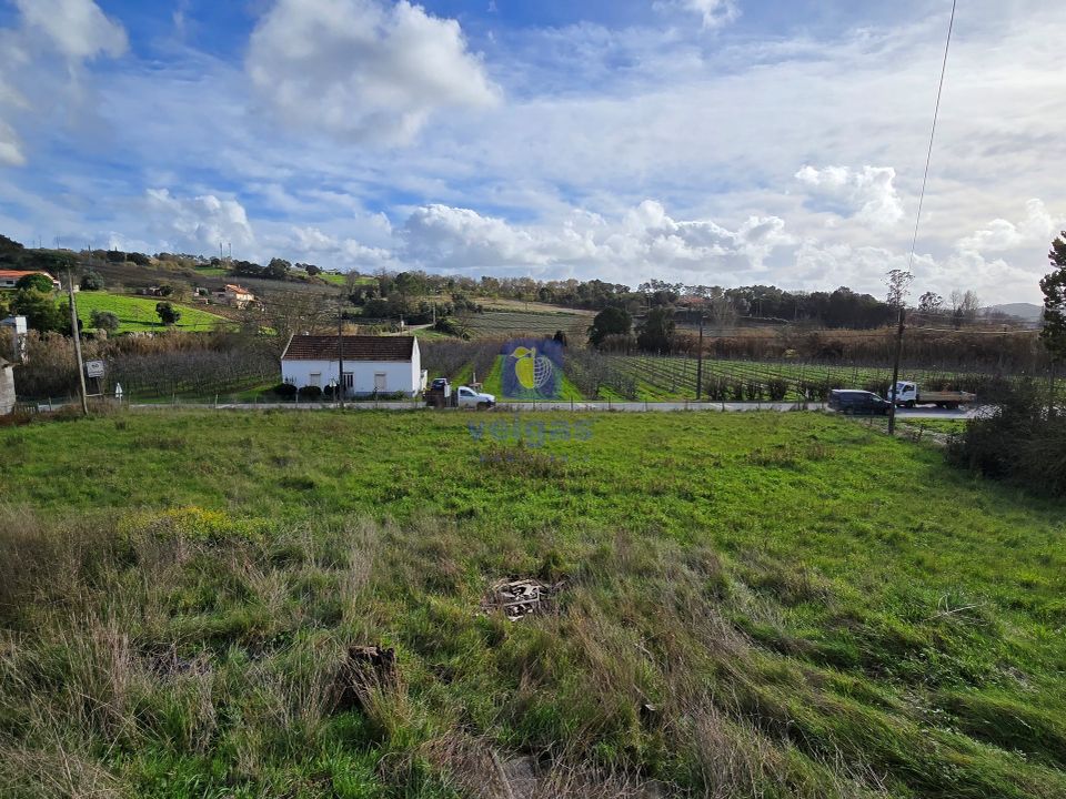 Villa i Alcobaca, Leiria - foto 5