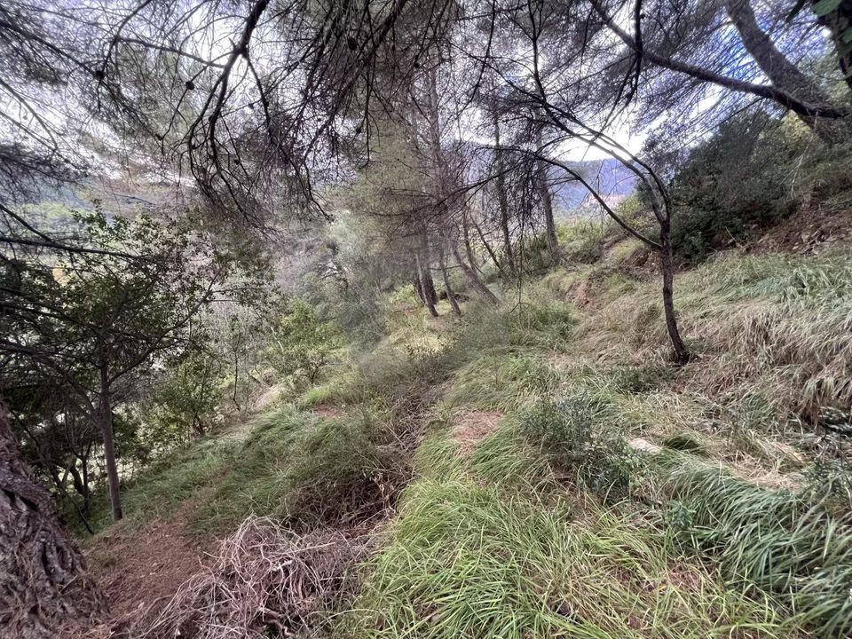 Helårsgrund i Menton, Alpes-Maritimes - foto 1