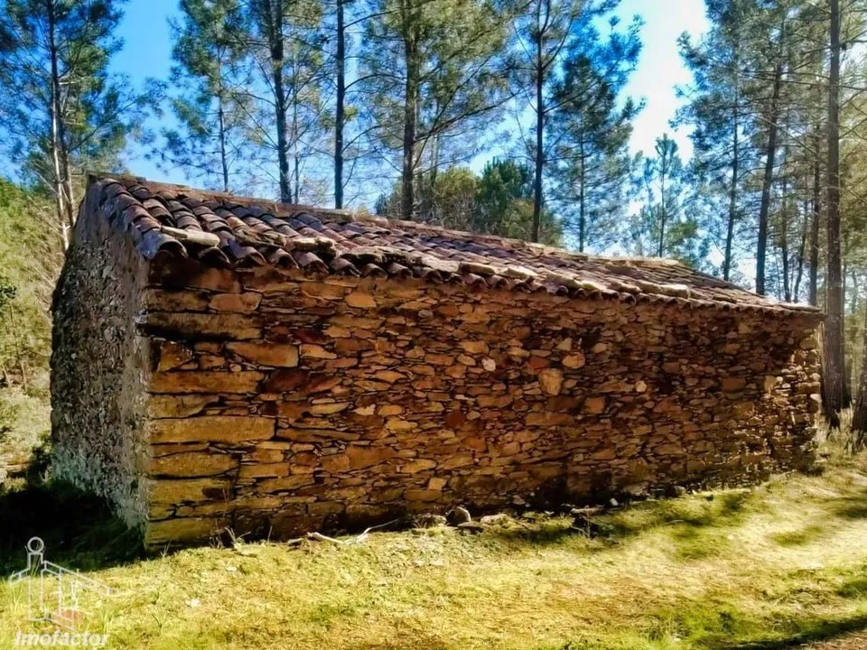 Farm hus i Castelo Branco, Castelo Branco - foto 2