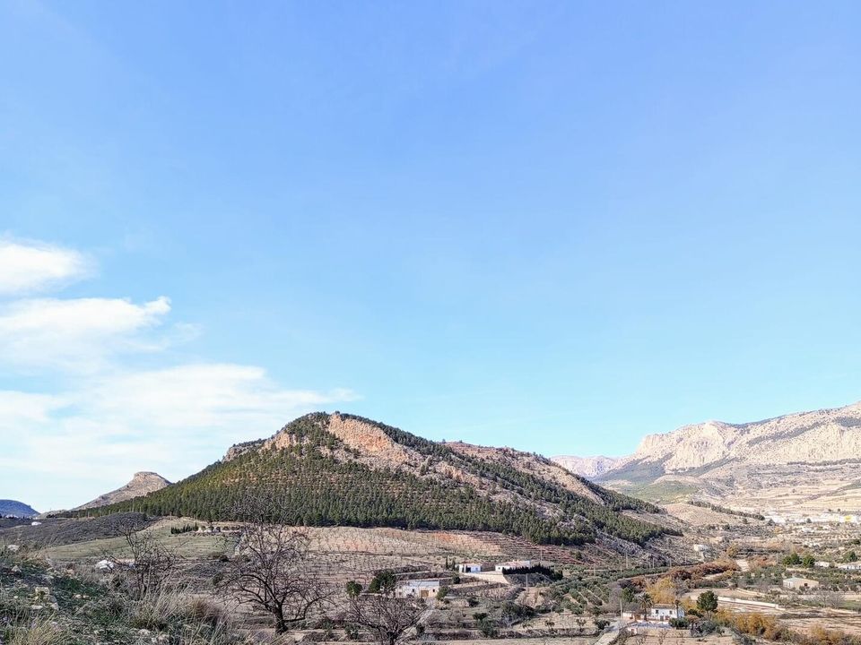 Cortijo i Velez-Rubio, Almeria - foto 5