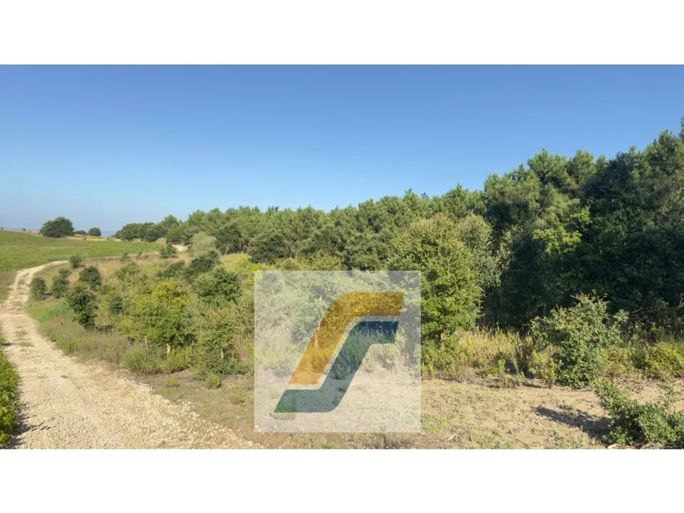 Helårsgrund i Bombarral, Leiria - foto 2