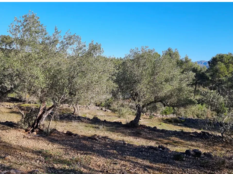 Finca i Rasquera, Tarragona - foto 3