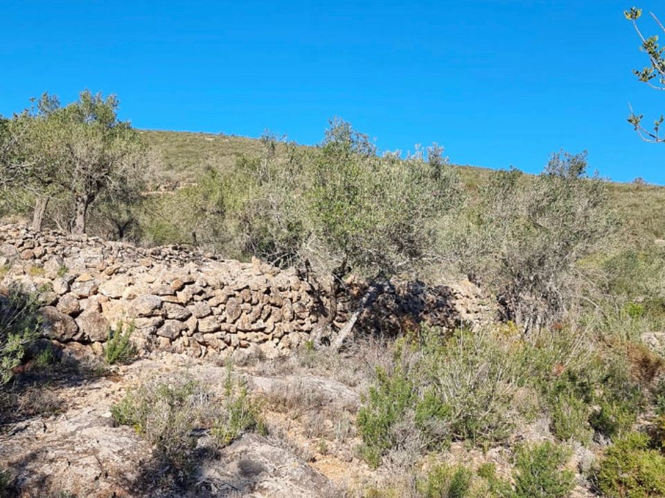 Finca i Rasquera, Tarragona - foto 2