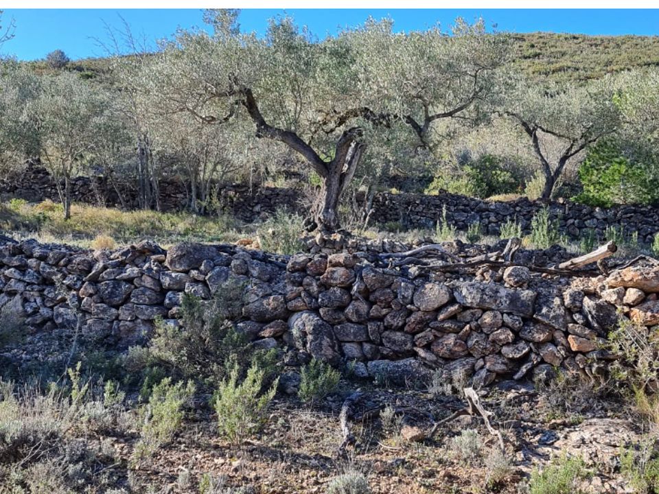 Finca i Rasquera, Tarragona - foto 4