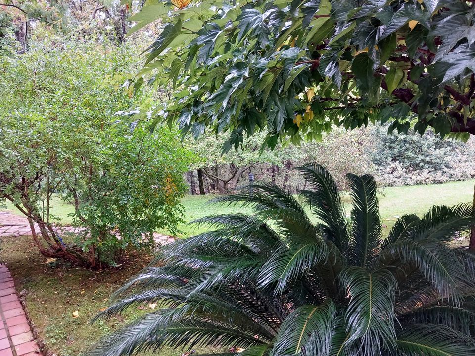 Villa i Sarzana, La Spezia - foto 3
