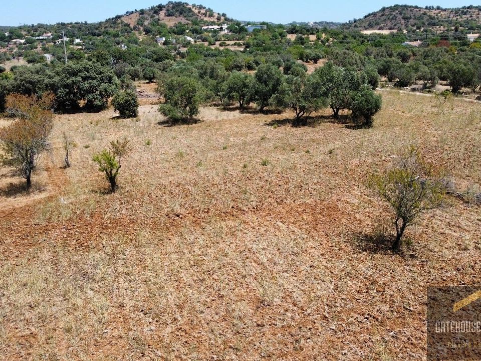 Lejlighed i Estoi, Faro - foto 5