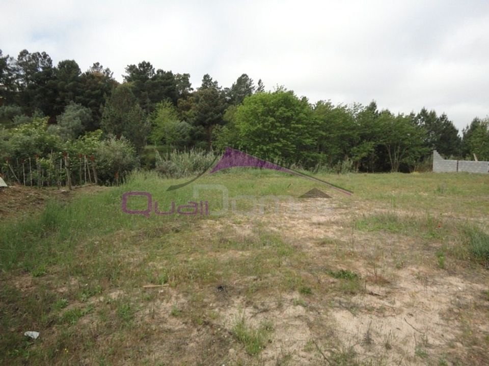 Helårsgrund i Chamusca, Santarem - foto 1