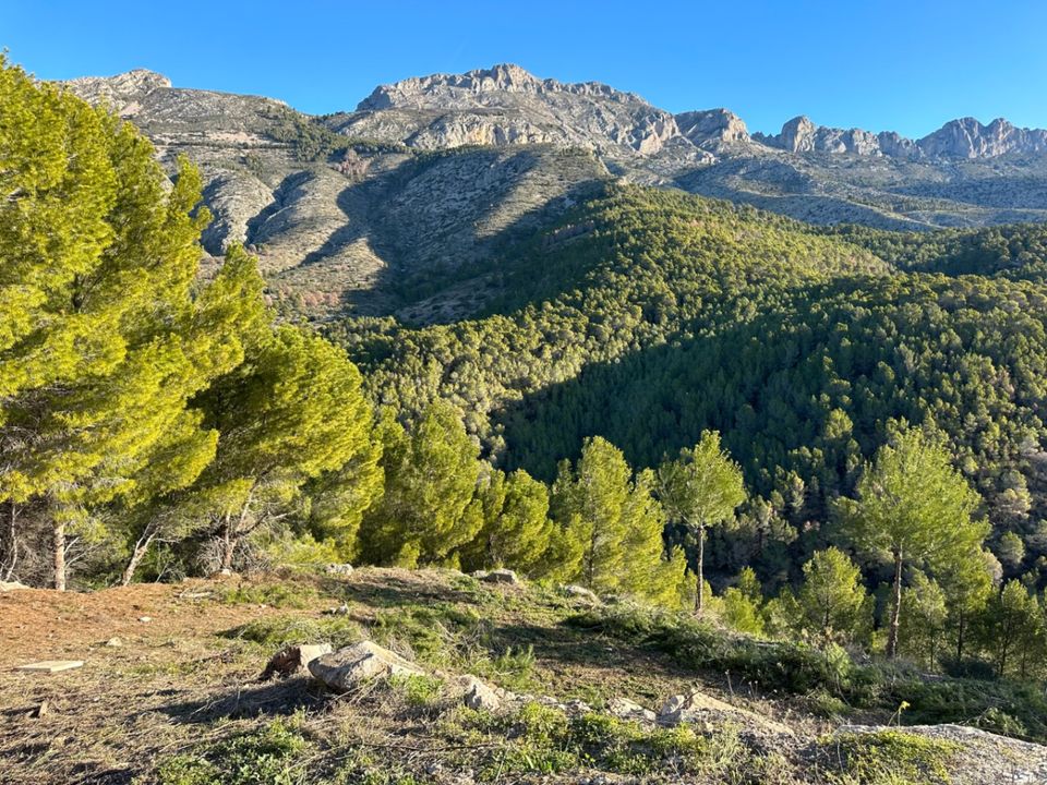 Grond in Altea, Alicante - foto 5
