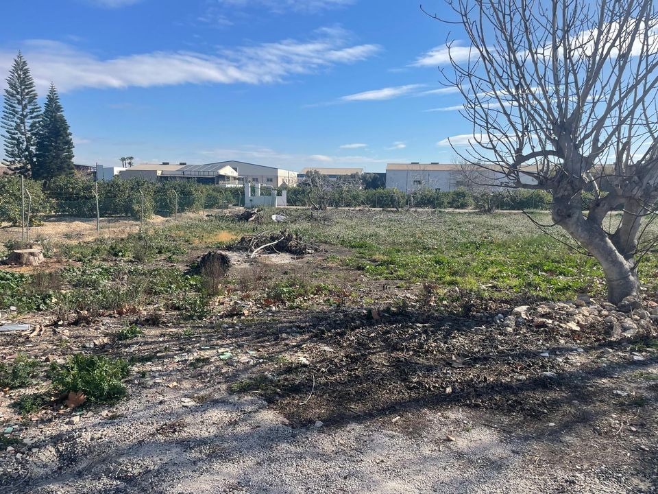 Landsbyhus i Heredades, Alicante - foto 5