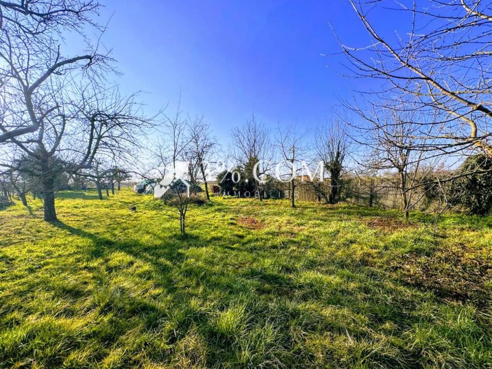 Helårsgrund i Ingenheim, Bas-Rhin - foto 3