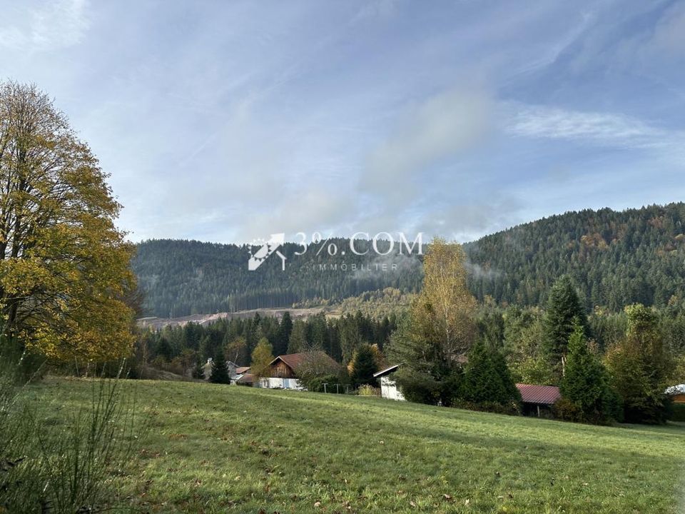 Terreno en Gérardmer, Vosges - foto 4