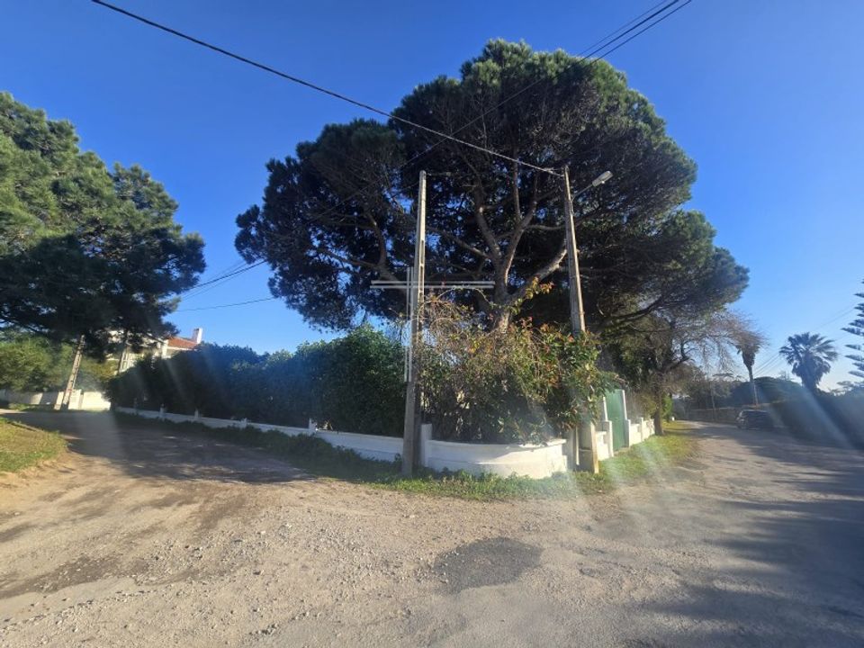Helårsgrund i Costa da Caparica, Setubal - foto 3