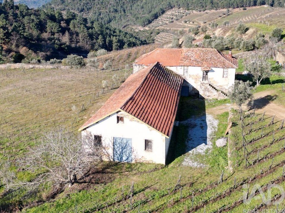 Dom szeregowy: Alijo, Vila Real – zdjęcie 2