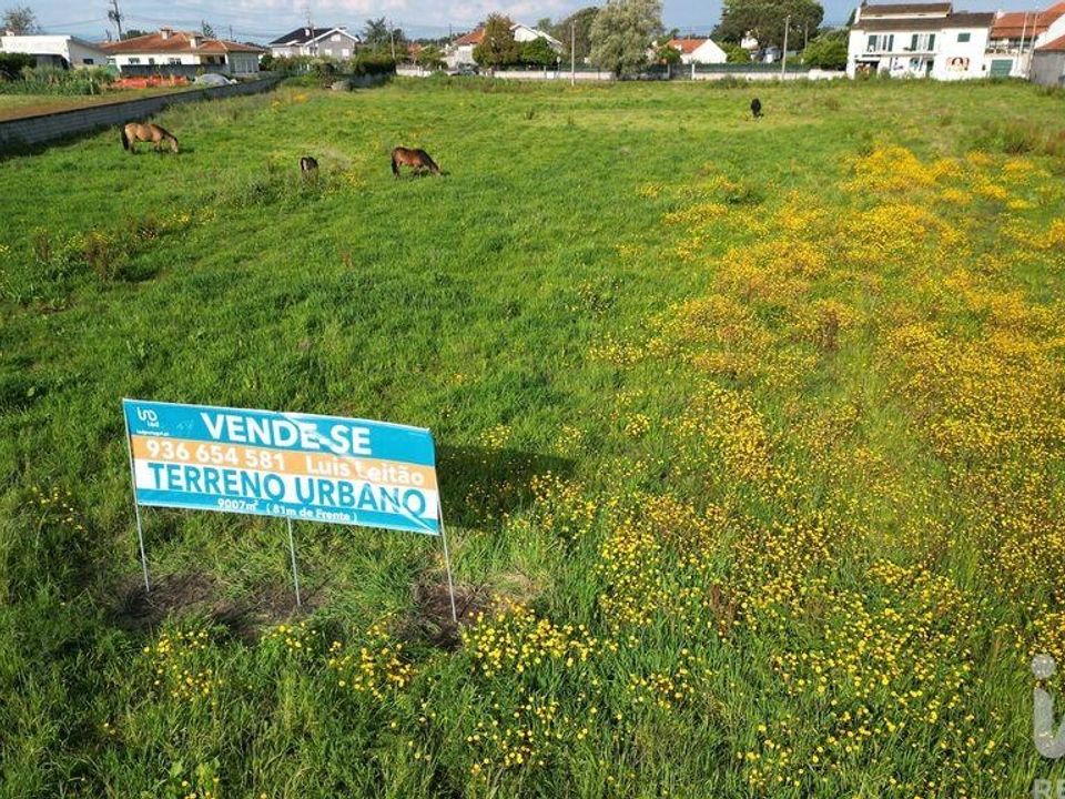 Helårsgrund i Aveiro, Aveiro - foto 1