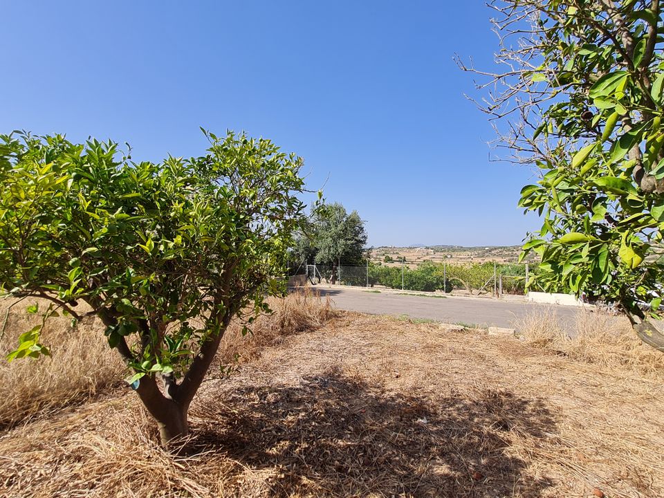 Helårsgrund i Santa Margalida, Mallorca - foto 1
