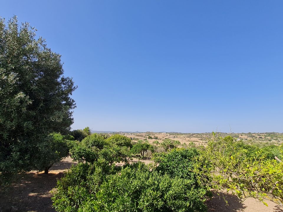 Helårsgrund i Santa Margalida, Mallorca - foto 2