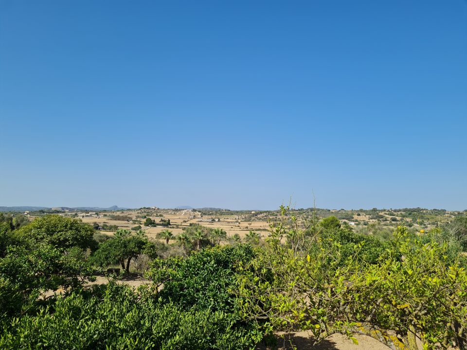 Helårsgrund i Santa Margalida, Mallorca - foto 3