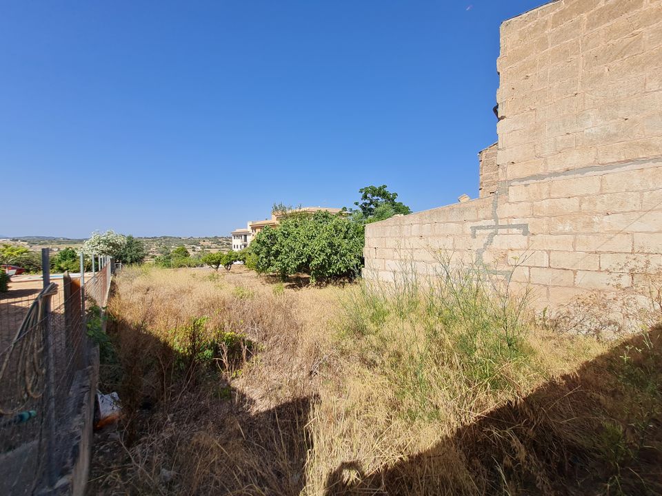 Helårsgrund i Santa Margalida, Mallorca - foto 5