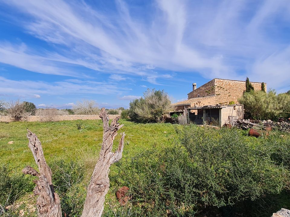 Finca i Algaida, Mallorca - foto 1