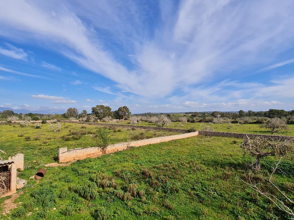 Finca i Algaida, Mallorca - foto 2