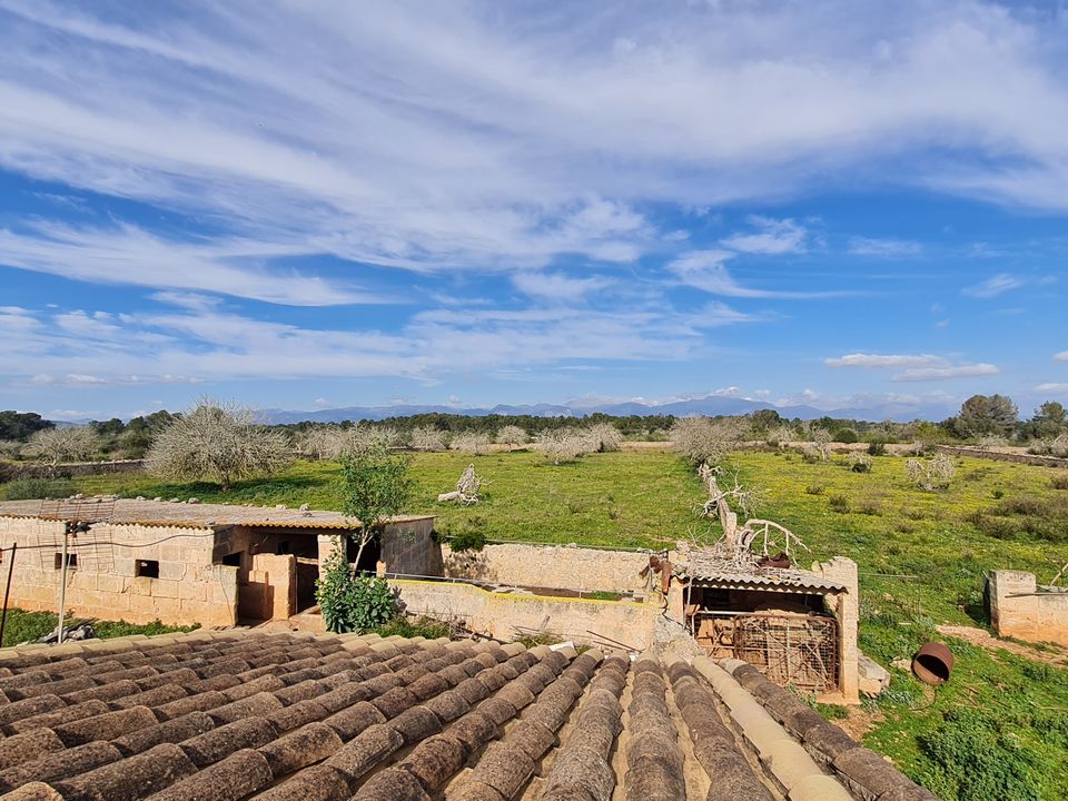 Finca i Algaida, Mallorca - foto 3