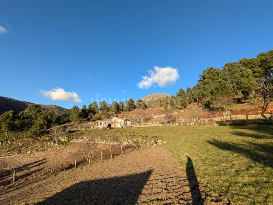 Tomt i Seia, Guarda - bilde 3