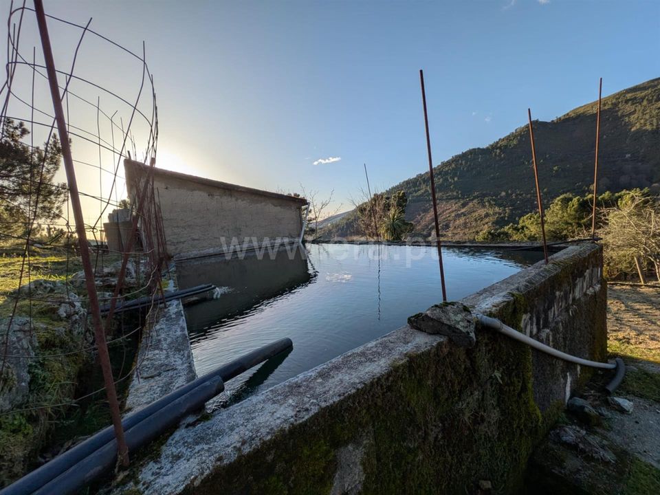 Tomt i Seia, Guarda - bilde 5
