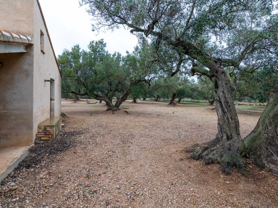 Finca i Roquetes, Tarragona - bilde 4
