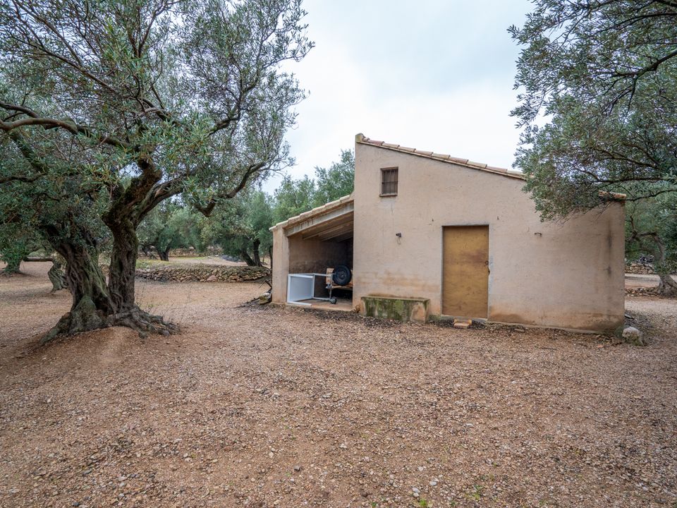 Finca i Roquetes, Tarragona - bilde 2