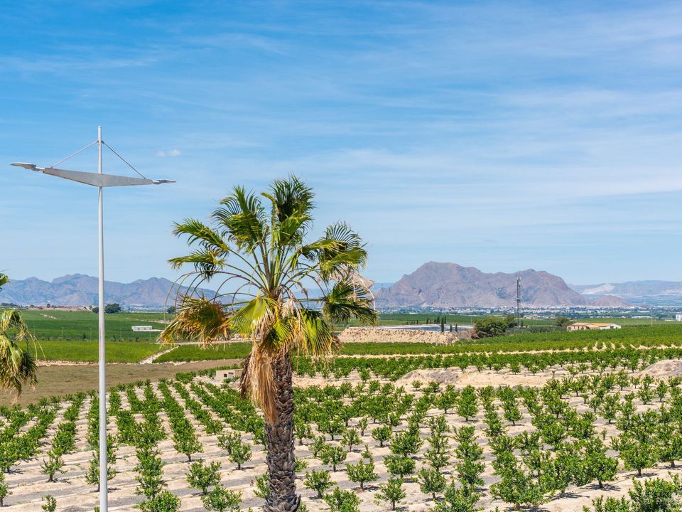 Villa i Algorfa, Alicante - foto 5