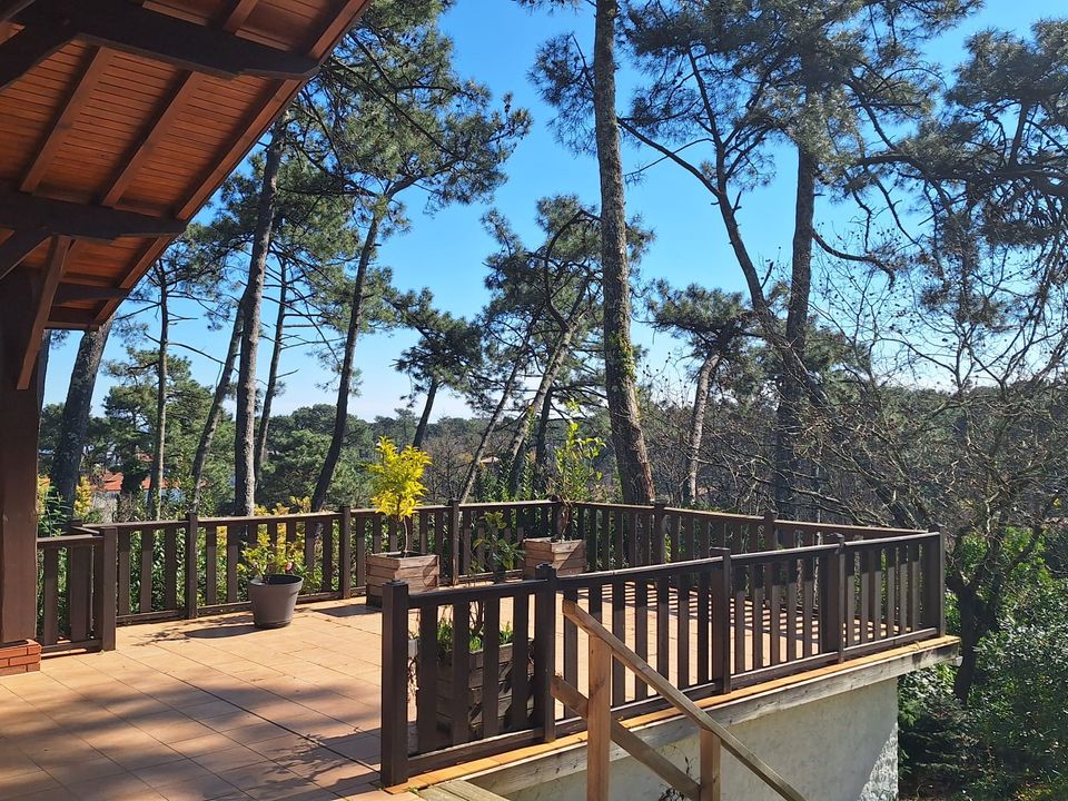 Villa i Lege-Cap-Ferret, Gironde - foto 3