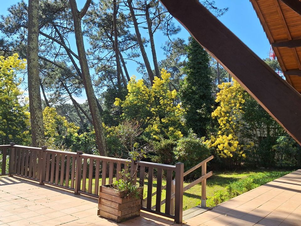 Villa i Lege-Cap-Ferret, Gironde - foto 4