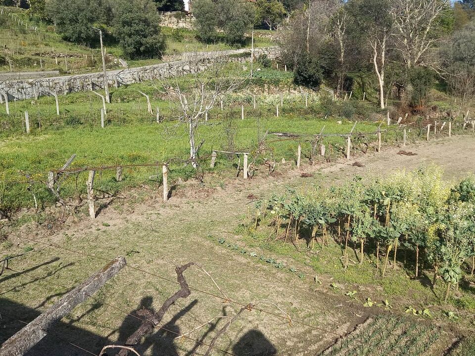 Helårsgrund i Ceivaes e Badim, Viana do Castelo - foto 2