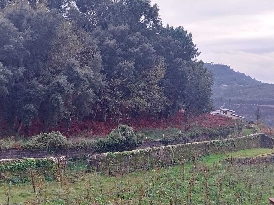 Helårsgrund i Ceivaes e Badim, Viana do Castelo - foto 1