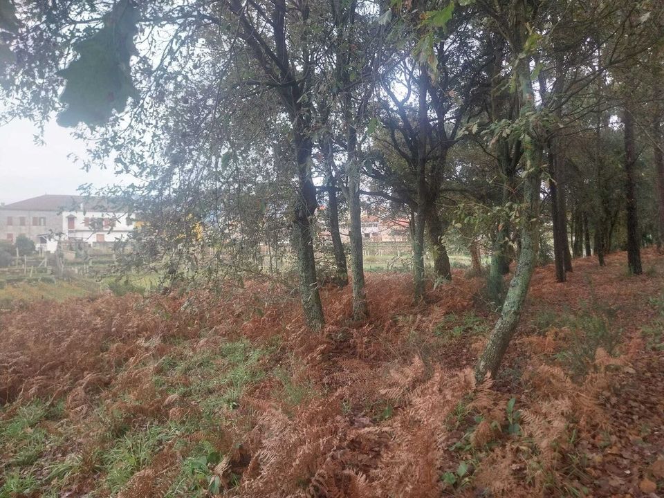 Helårsgrund i Ceivaes e Badim, Viana do Castelo - foto 3