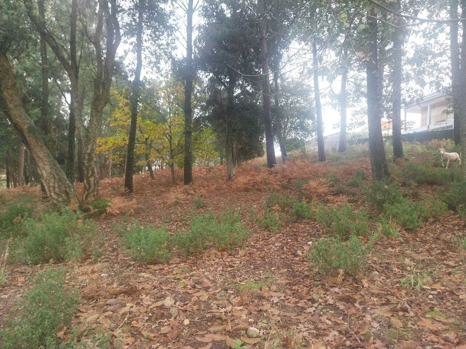 Helårsgrund i Ceivaes e Badim, Viana do Castelo - foto 5