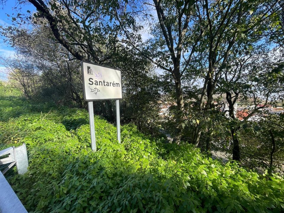 Helårsgrund i Sao Salvador, Santarem - foto 3