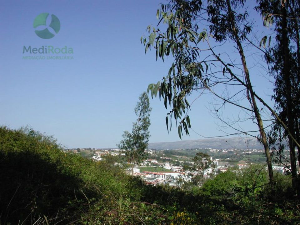 Helårsgrund i Alcobaca, Leiria - foto 2