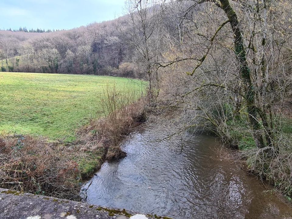 Helårsgrund i Paulinet, Tarn - foto 2
