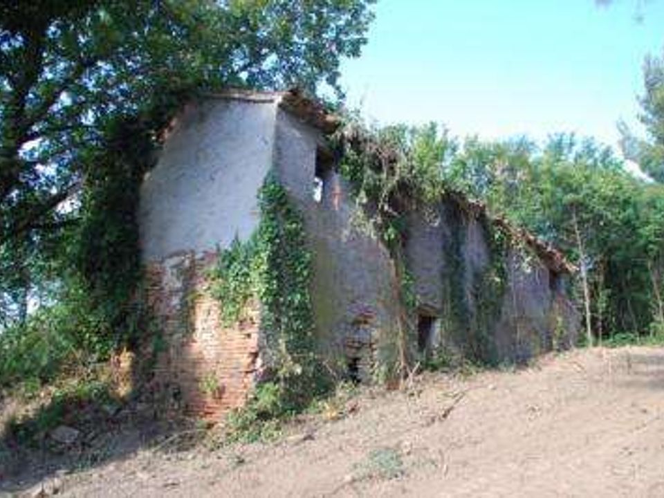 Farm house in Sant'Angelo in Pontano, Macerata - photo 4