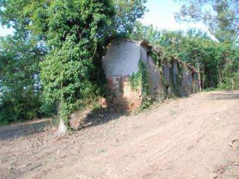 Farm house in Sant'Angelo in Pontano, Macerata - photo 5