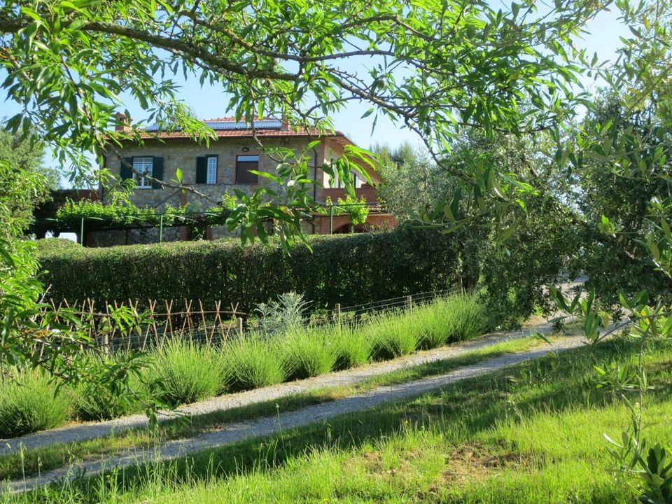 Villa i Montegabbione, Terni - foto 5