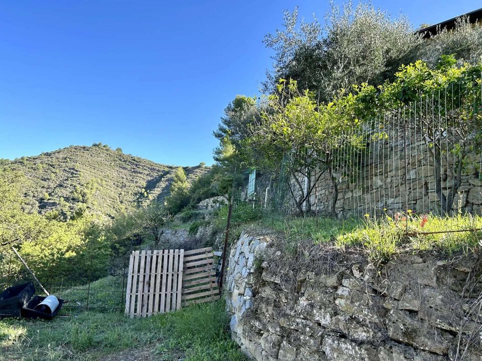 Villa i Camporosso, Imperia - foto 3