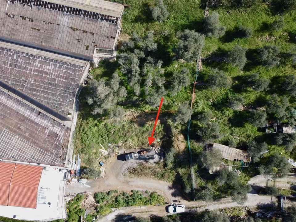 Villa i San Biagio della Cima, Imperia - foto 4