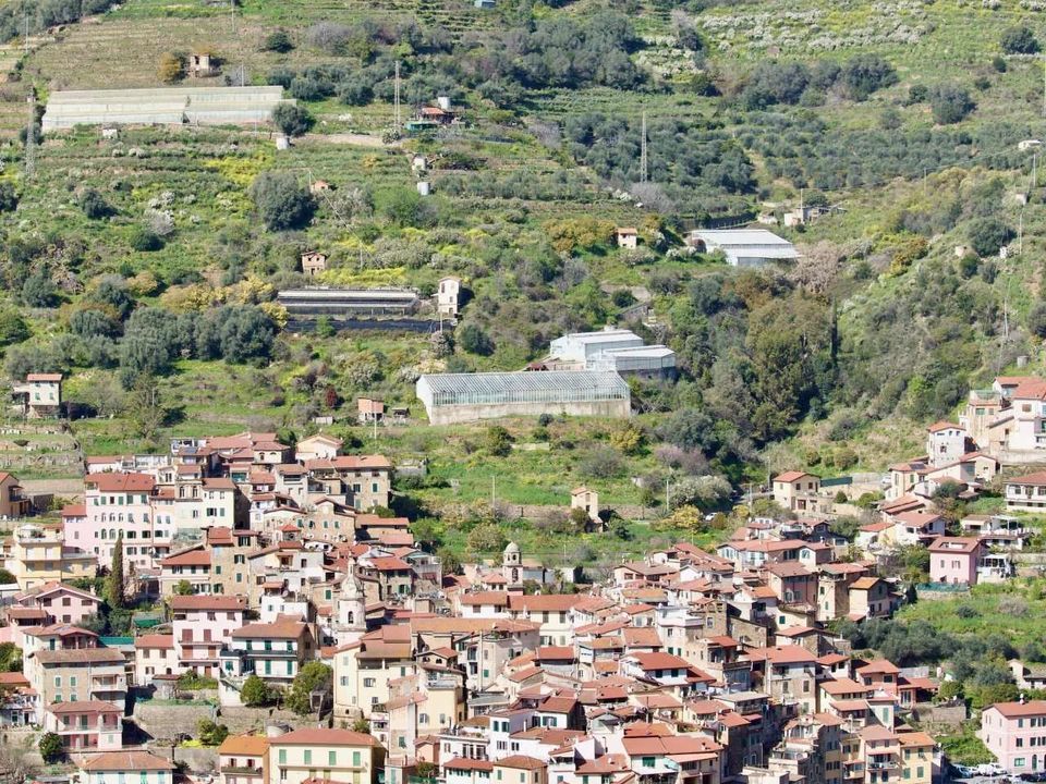 Villa i San Biagio della Cima, Imperia - foto 5