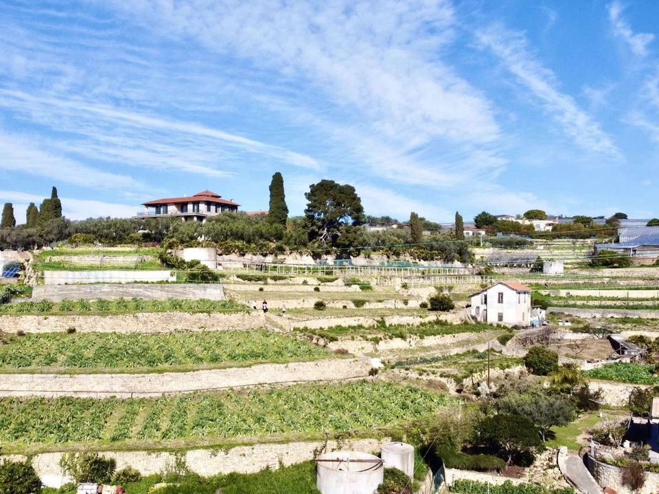 Villa i Bordighera, Imperia - foto 4