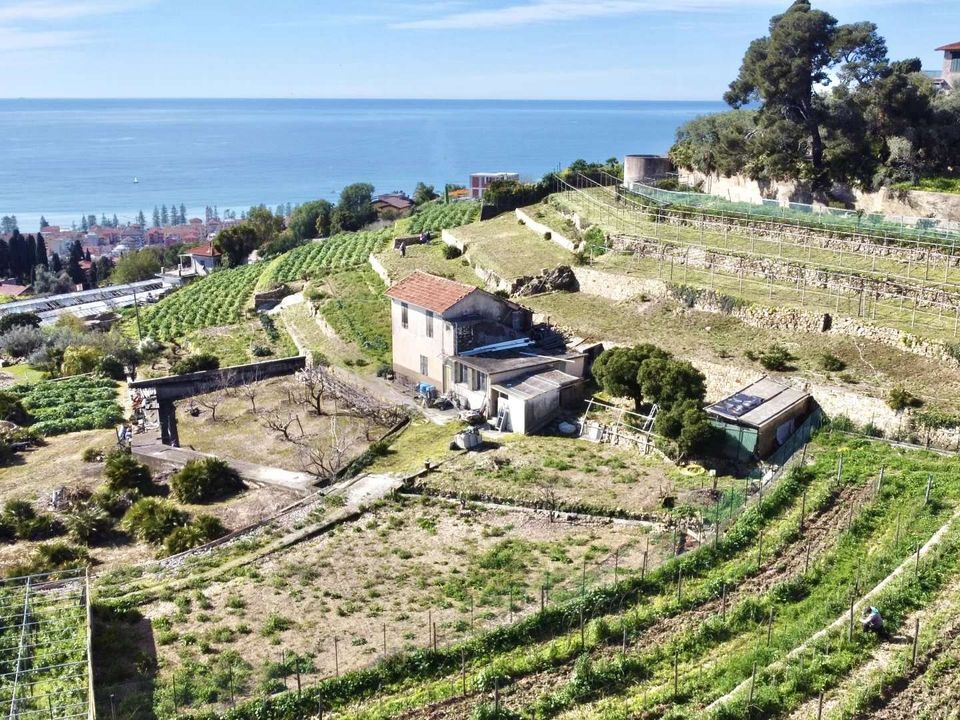 Villa i Bordighera, Imperia - foto 5